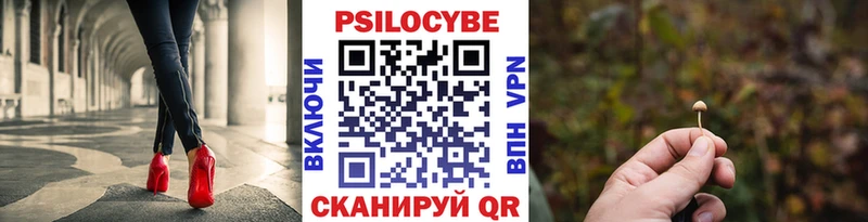 Купить  Инза  Галлюциногенные грибы мухоморы 